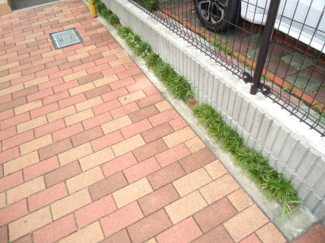 12/19 その他画像