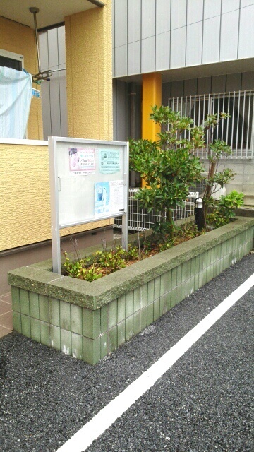 11/17 その他画像