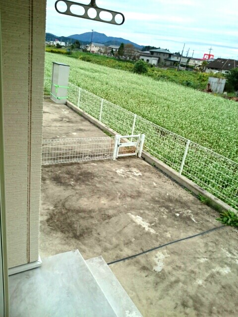 12/20 その他画像