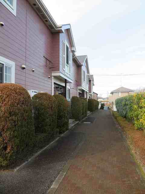 13/23 その他画像