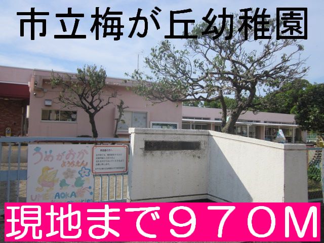 8/14 その他画像