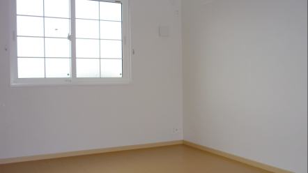 11/19 その他画像