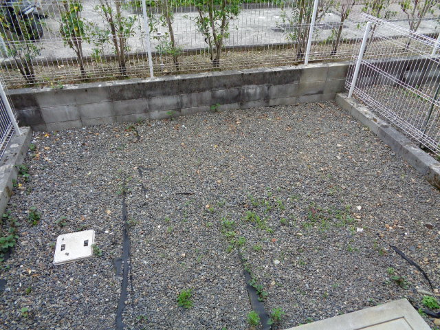 11/20 その他画像