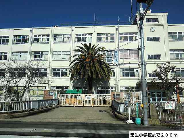 3/13 その他画像