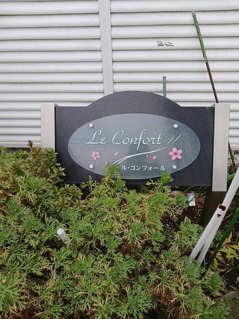 8/19 その他画像