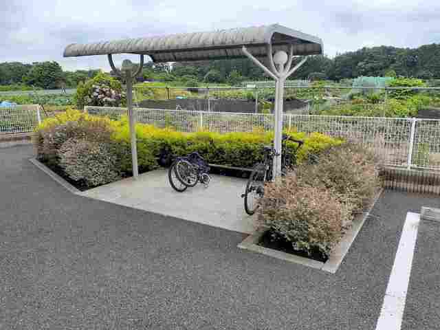 13/20 その他画像