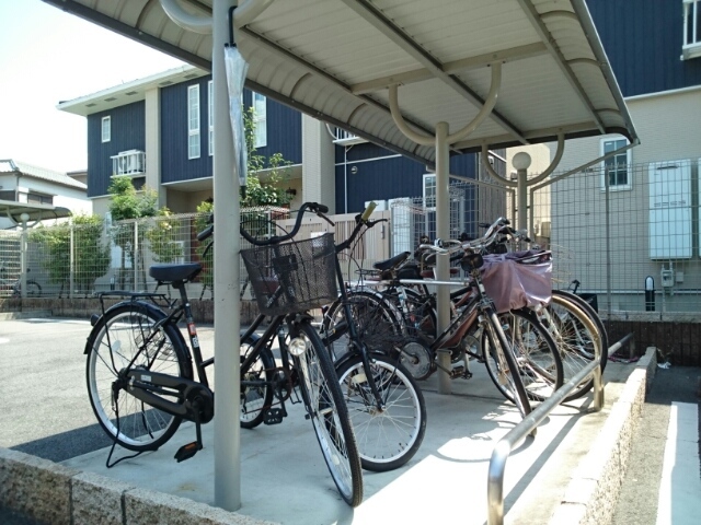 8/17 その他画像