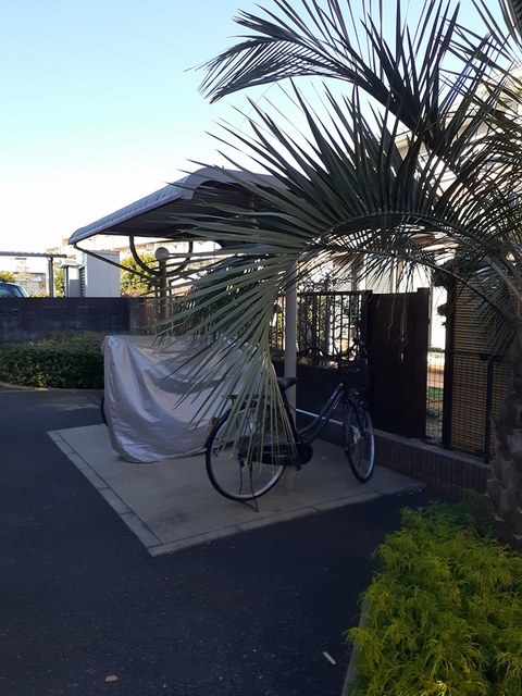 13/17 その他画像