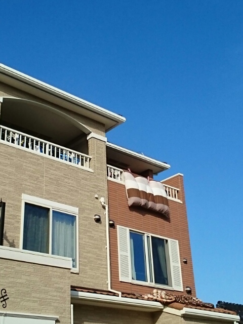 9/24 バルコニー