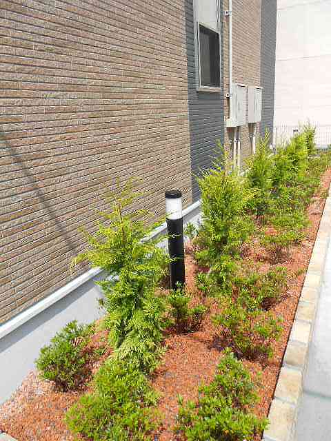 19/30 その他画像