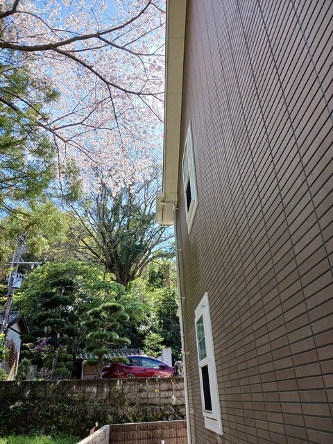 9/19 その他画像