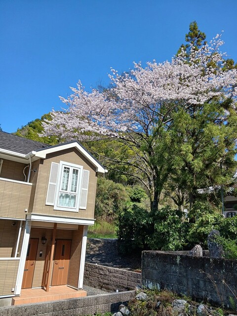 3/19 その他画像