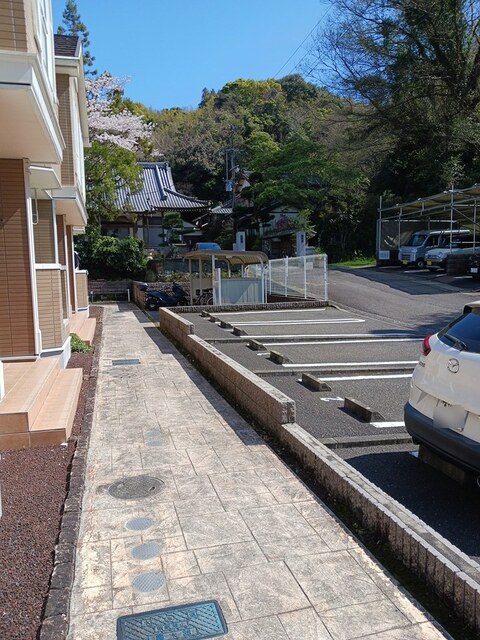 6/19 その他画像