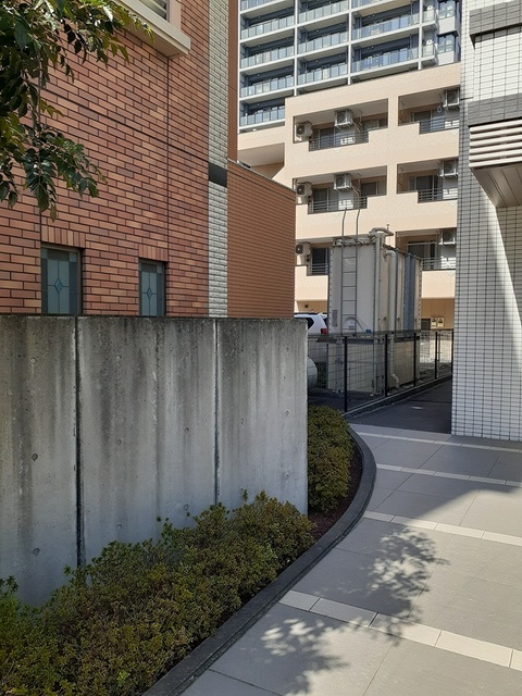 12/20 その他画像