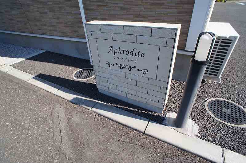 13/18 その他画像