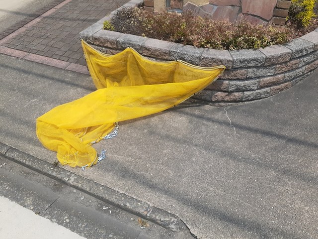 11/20 その他画像