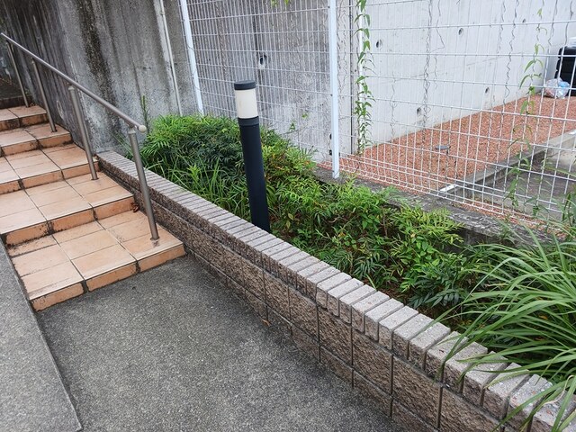 11/20 その他画像