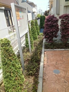 16/21 その他画像