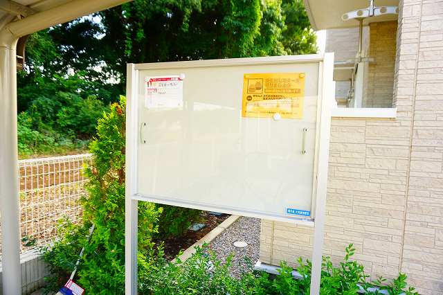 13/22 その他画像