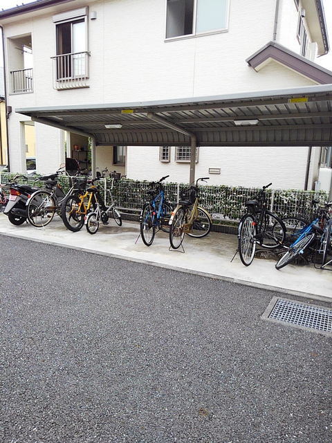 その他画像
