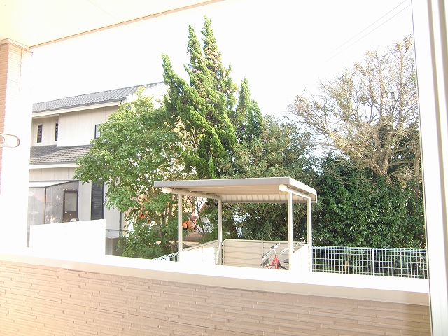 13/20 その他画像