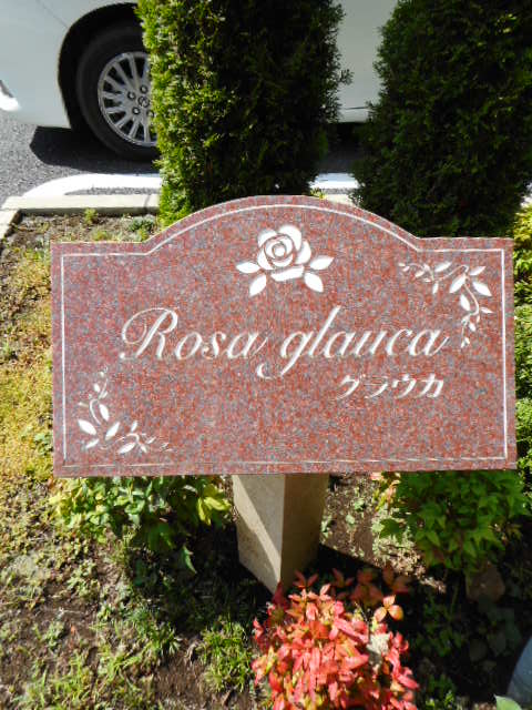 14/20 その他画像