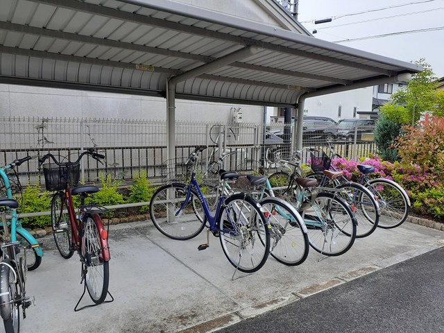 その他画像