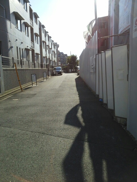 11/20 その他画像