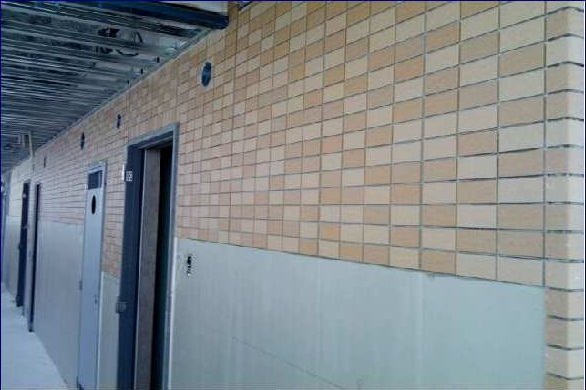 11/19 その他画像