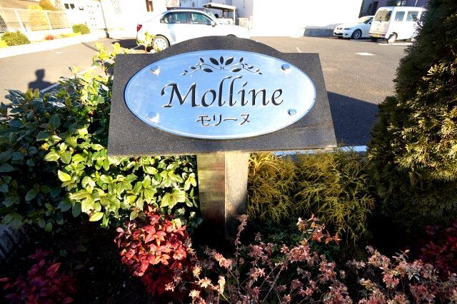 5/13 その他画像