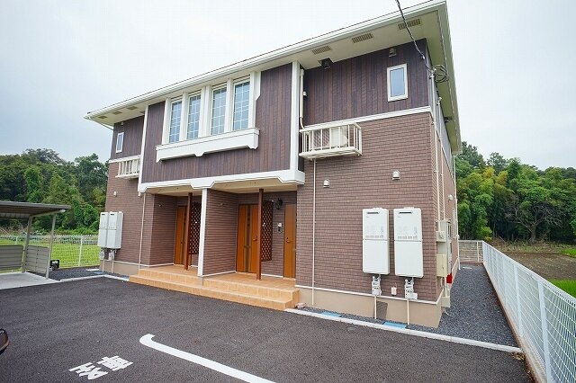 ファレノプシスの外観