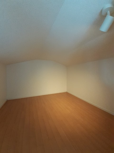 11/20 その他画像