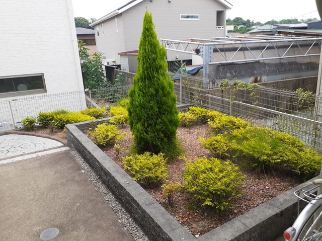 14/20 その他画像