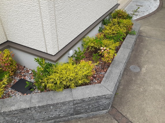 6/20 その他画像