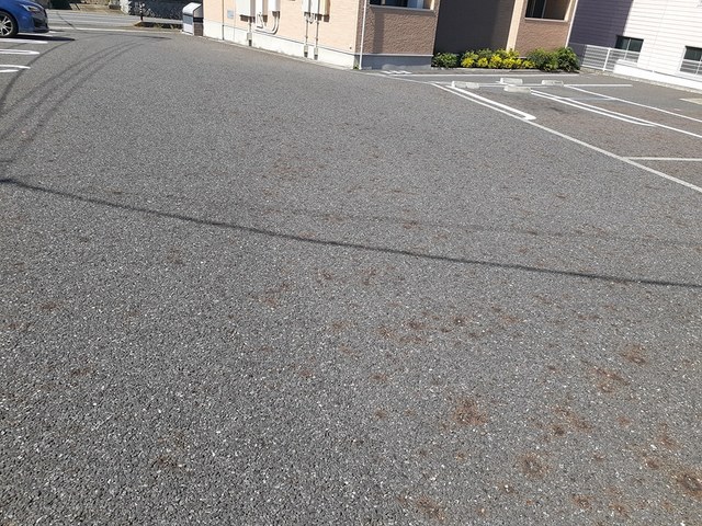 13/20 その他画像