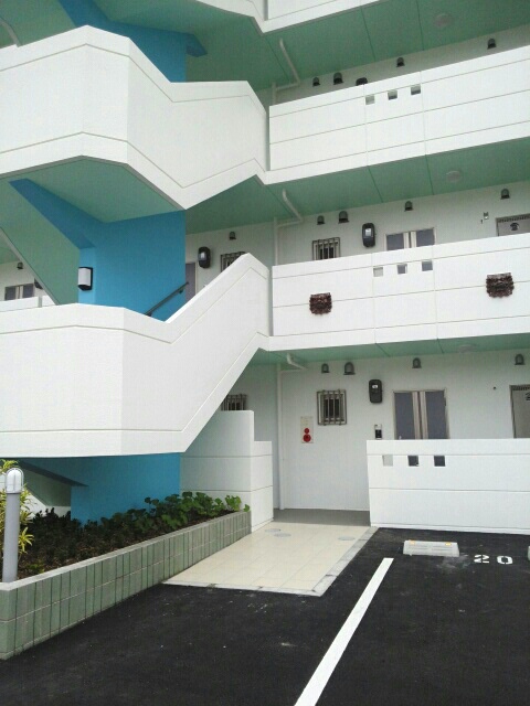 13/19 その他画像