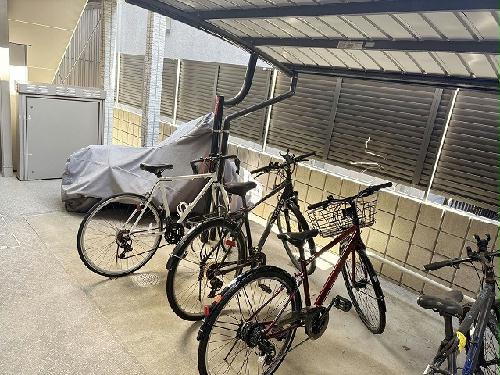 13/18 その他画像