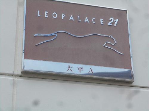 13/14 その他画像