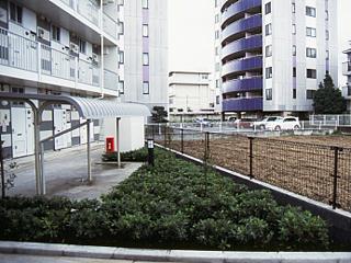 11/12 その他画像