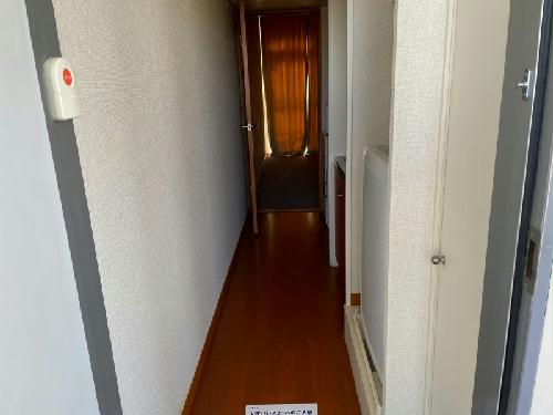 12/19 その他画像