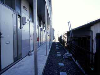 8/14 その他画像