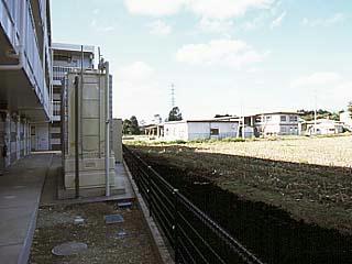 11/11 その他画像