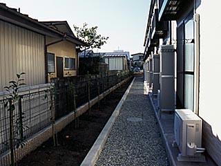 13/13 その他画像