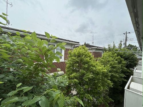 14/14 その他画像