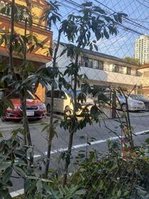 12/13 その他画像