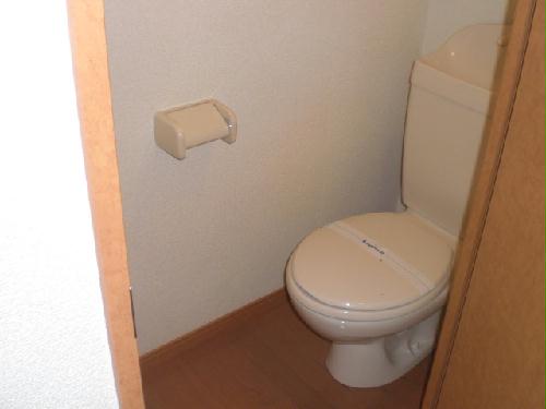 10/16 その他画像