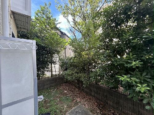 11/17 その他画像