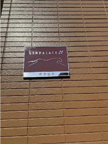 11/14 その他画像