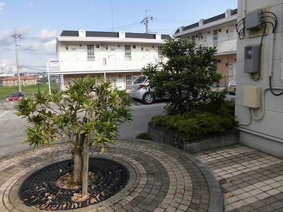 12/22 その他画像