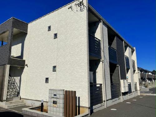 11/15 その他画像